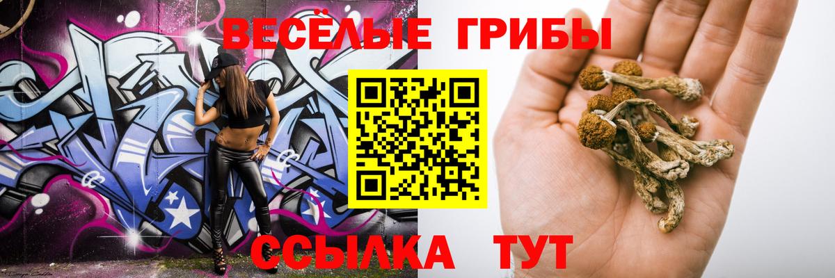 Северодвинск  Псилоцибиновые грибы прущие грибы  Псилоцибиновые грибы прущие грибы  Вход с VPN 